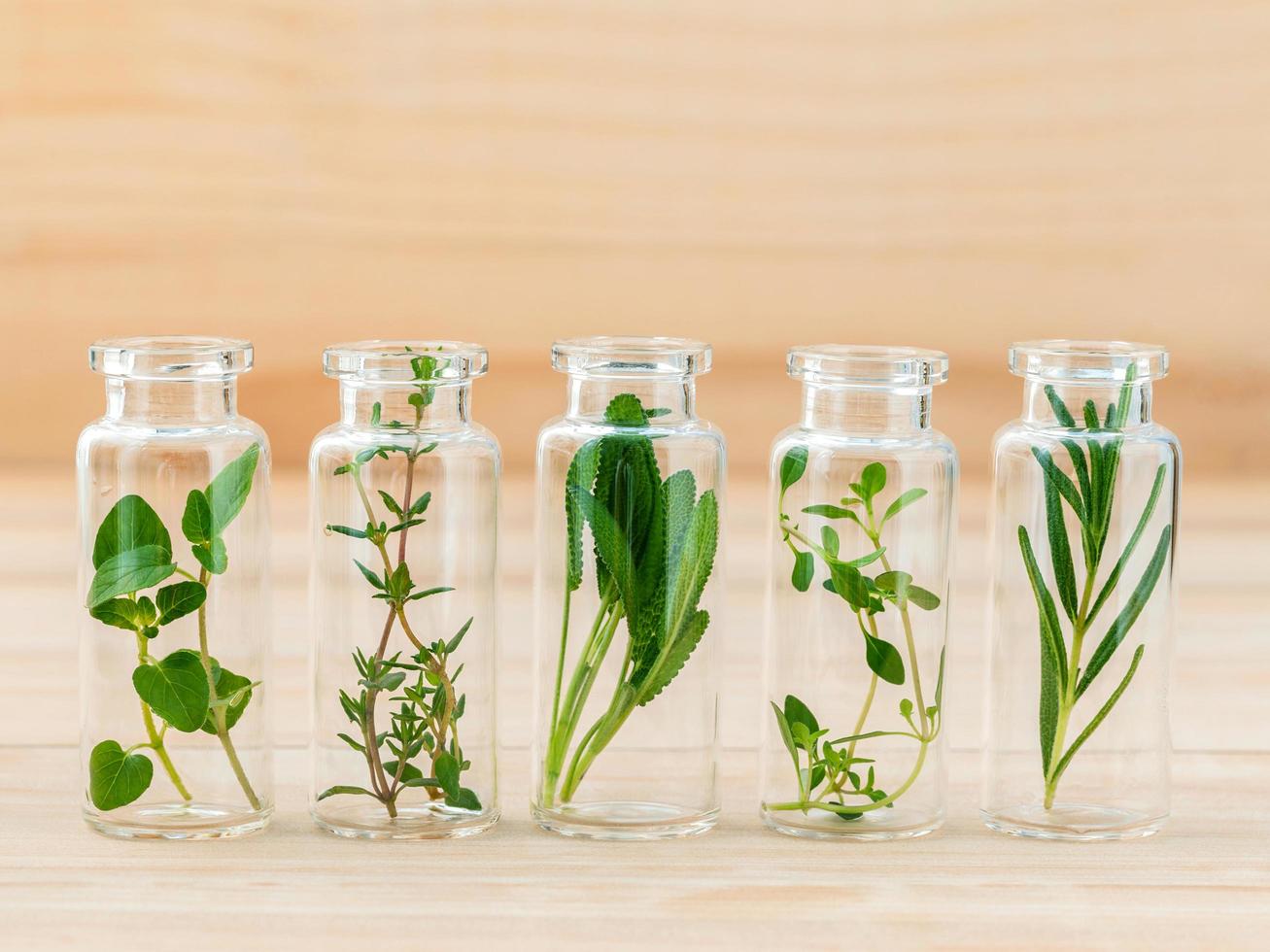 Glass viles of fresh herbs photo