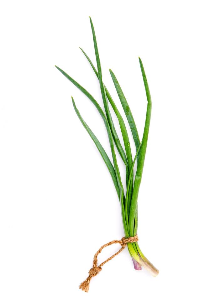 Branch of fresh spring onions photo