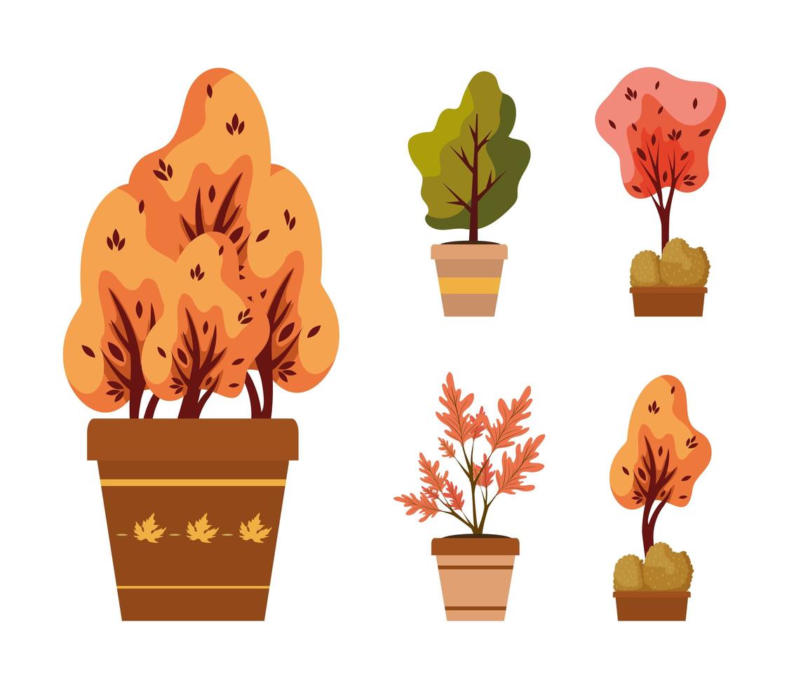 autumn plants in ceramic pots icons vector