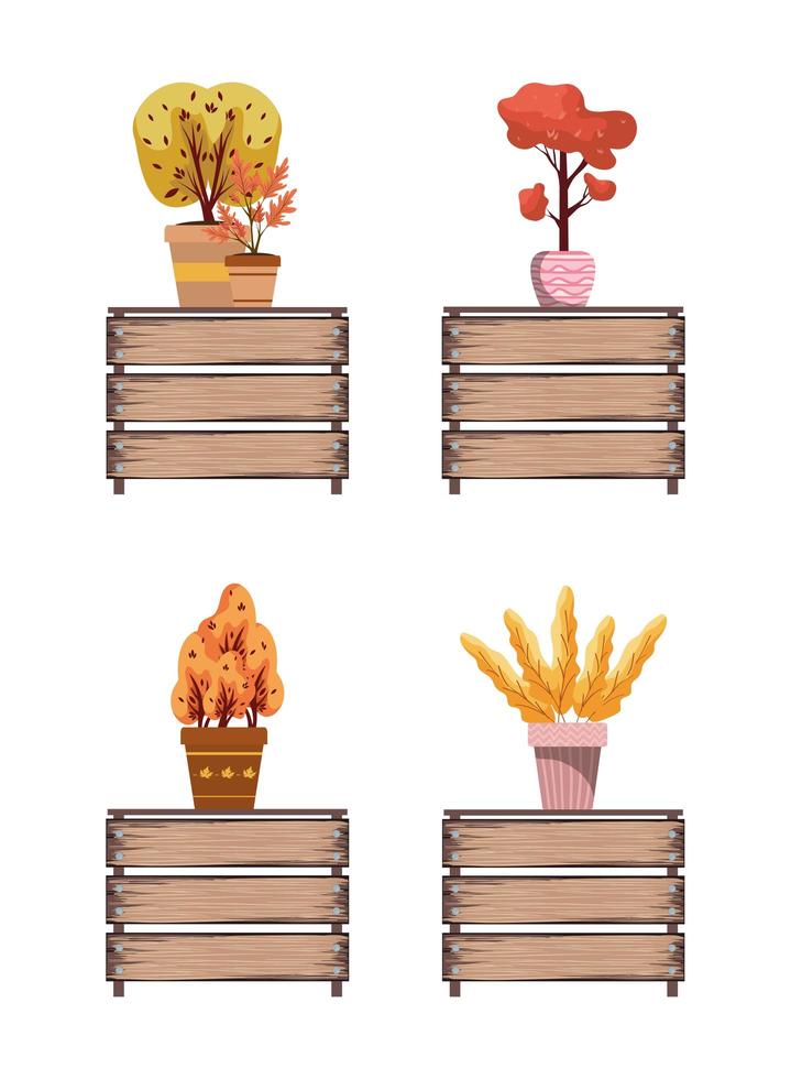 autumn plants in ceramic pots on wooden tables vector