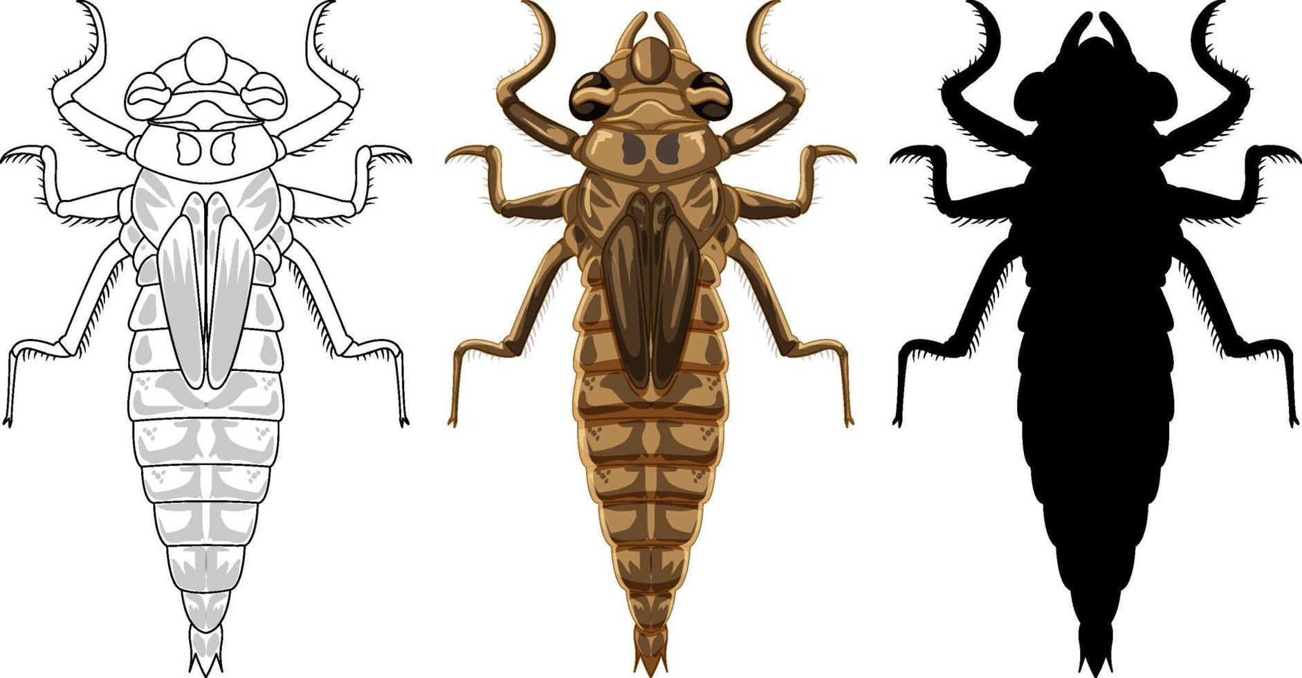Set of dragonfly beetle in three style vector