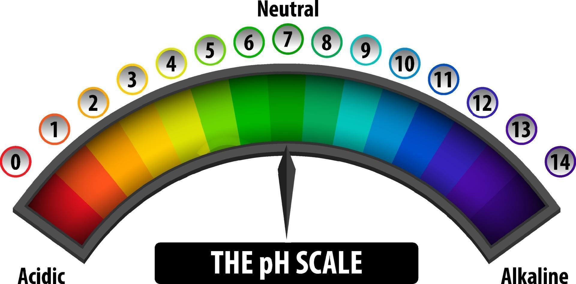 The pH Scale diagram on white background vector