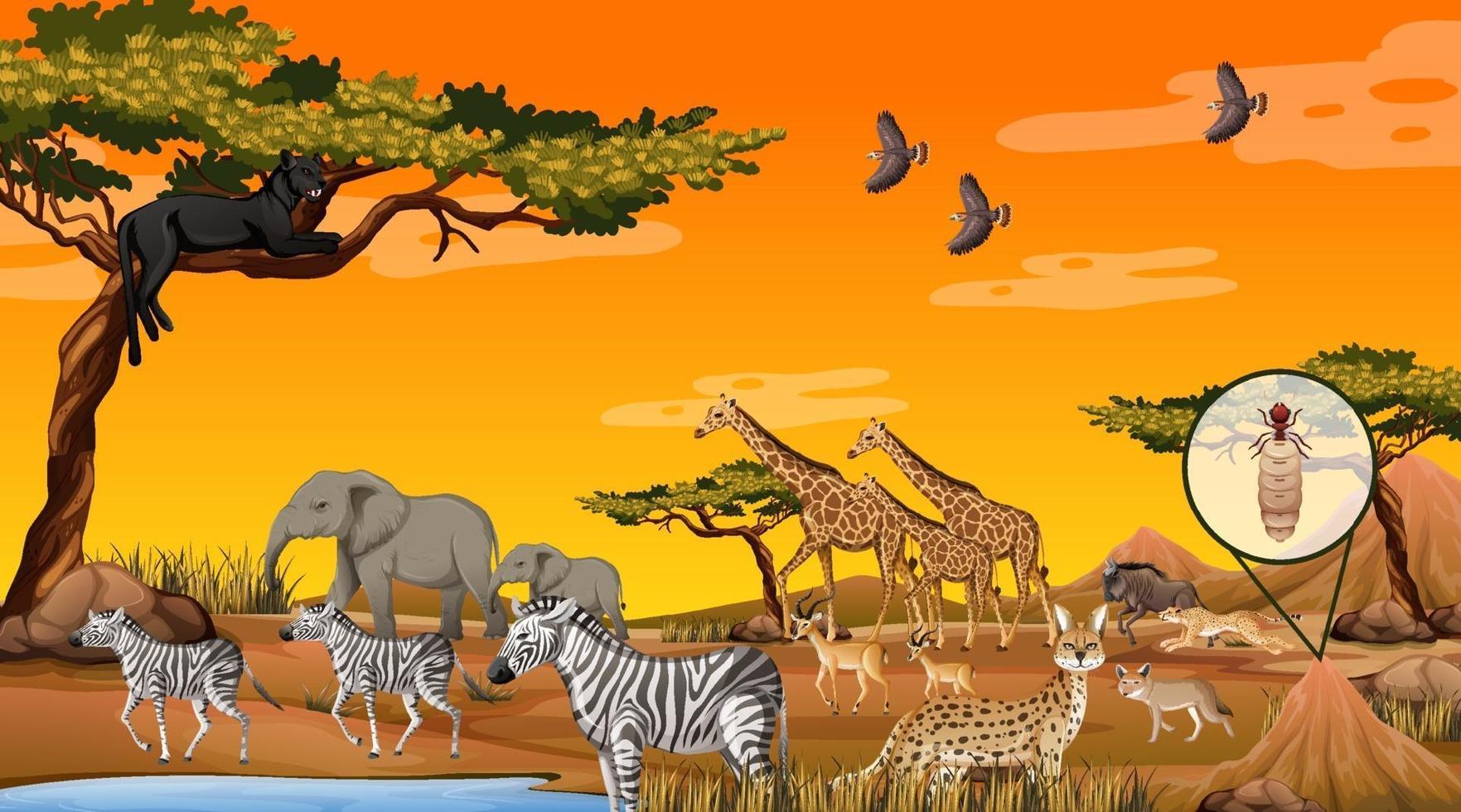 Grupo de animales salvajes africanos en la escena del bosque vector