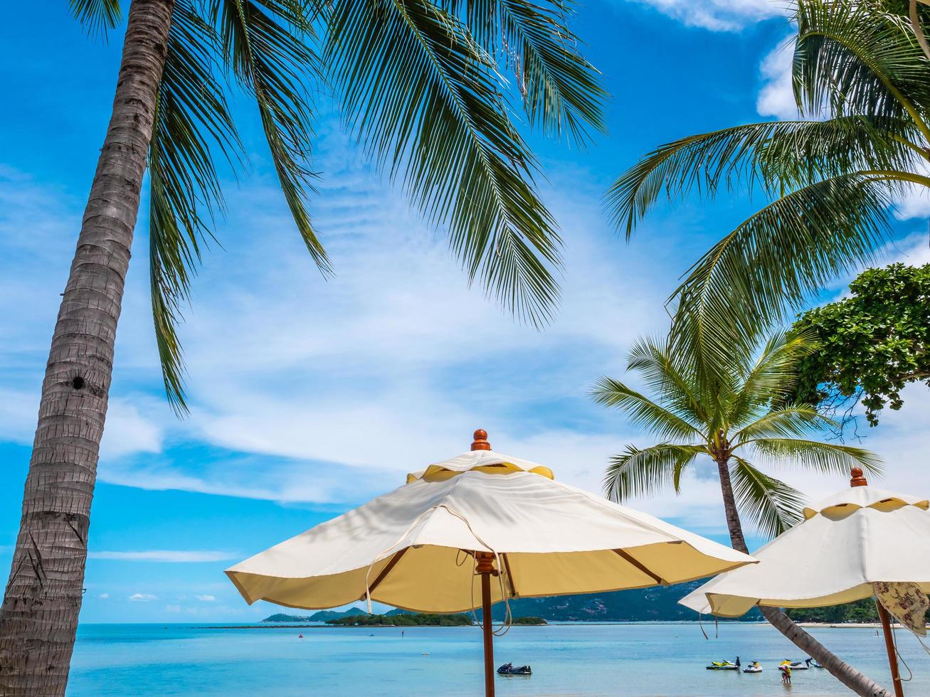 White umbrellas with coconut palm tree photo