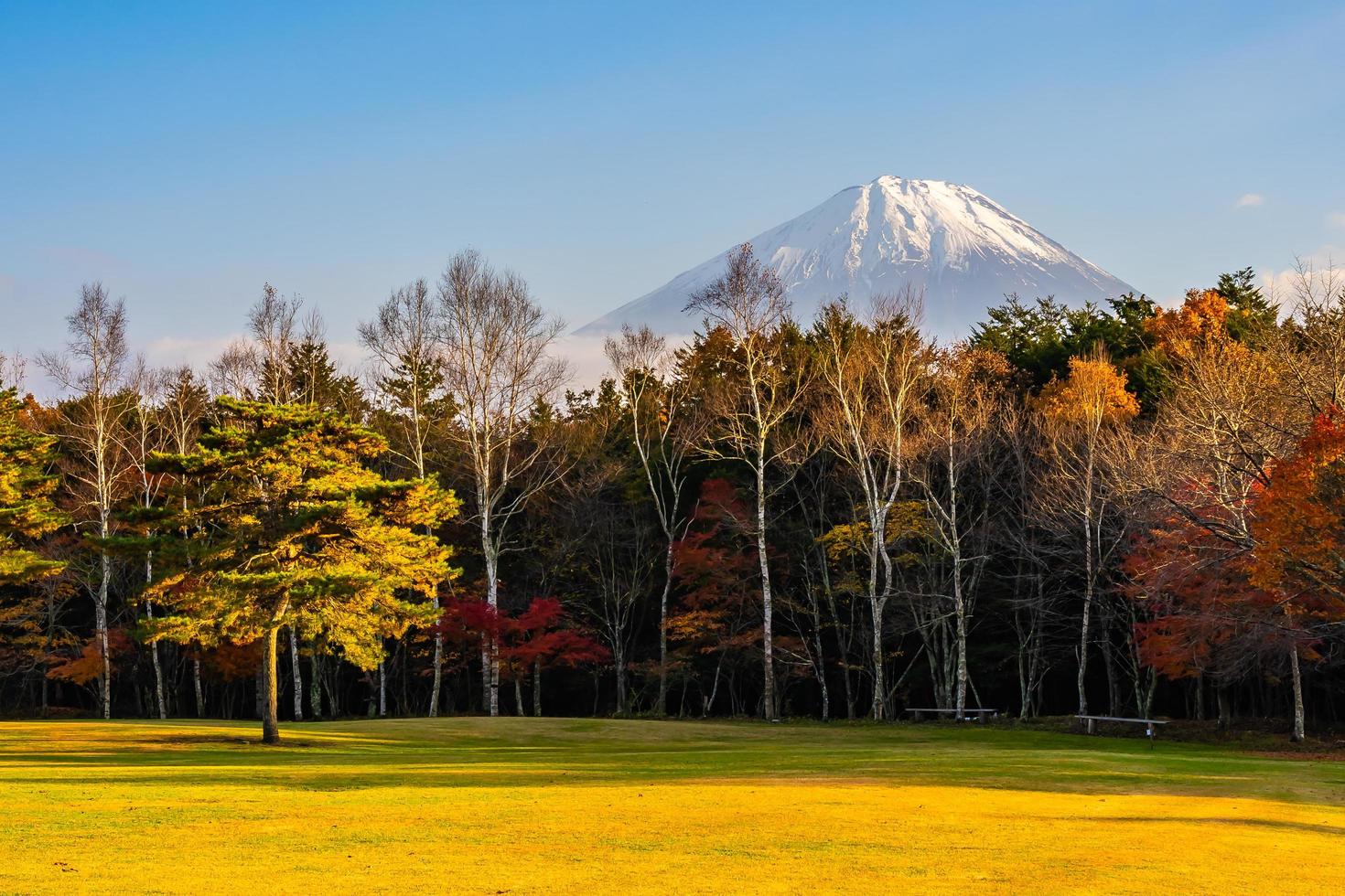 Landscape at Mt. Fuji, Japan photo