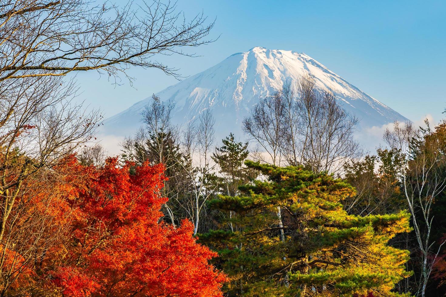 paisaje en mt. fuji, japón foto