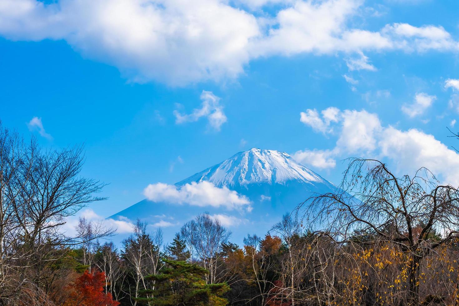 paisaje en mt. fuji, yamanashi, japón foto