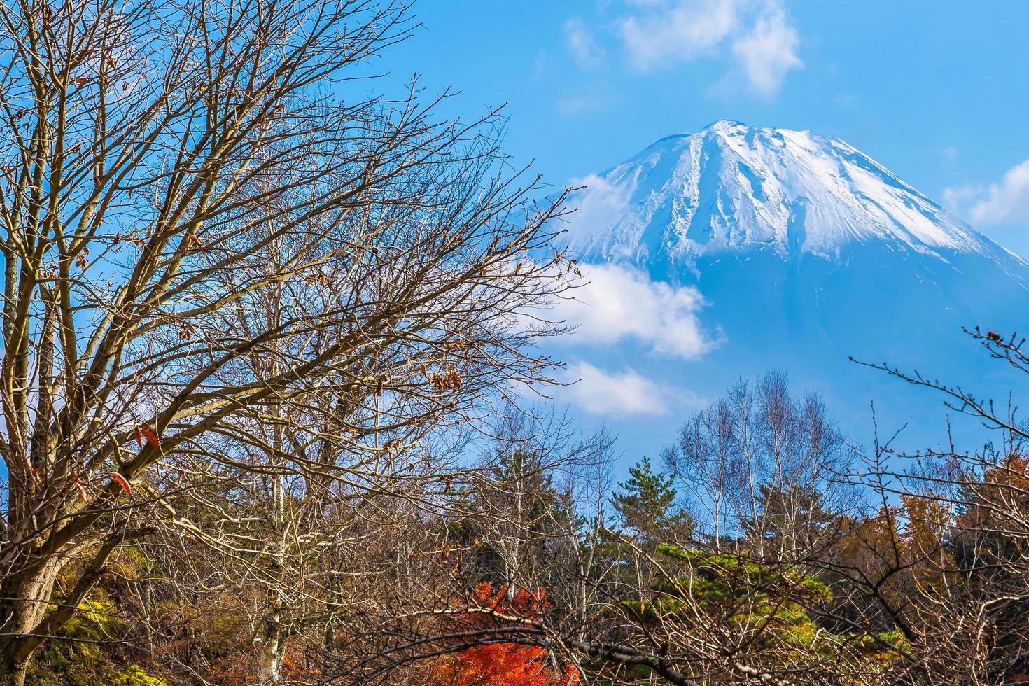 paisaje en mt. fuji, yamanashi, japón foto