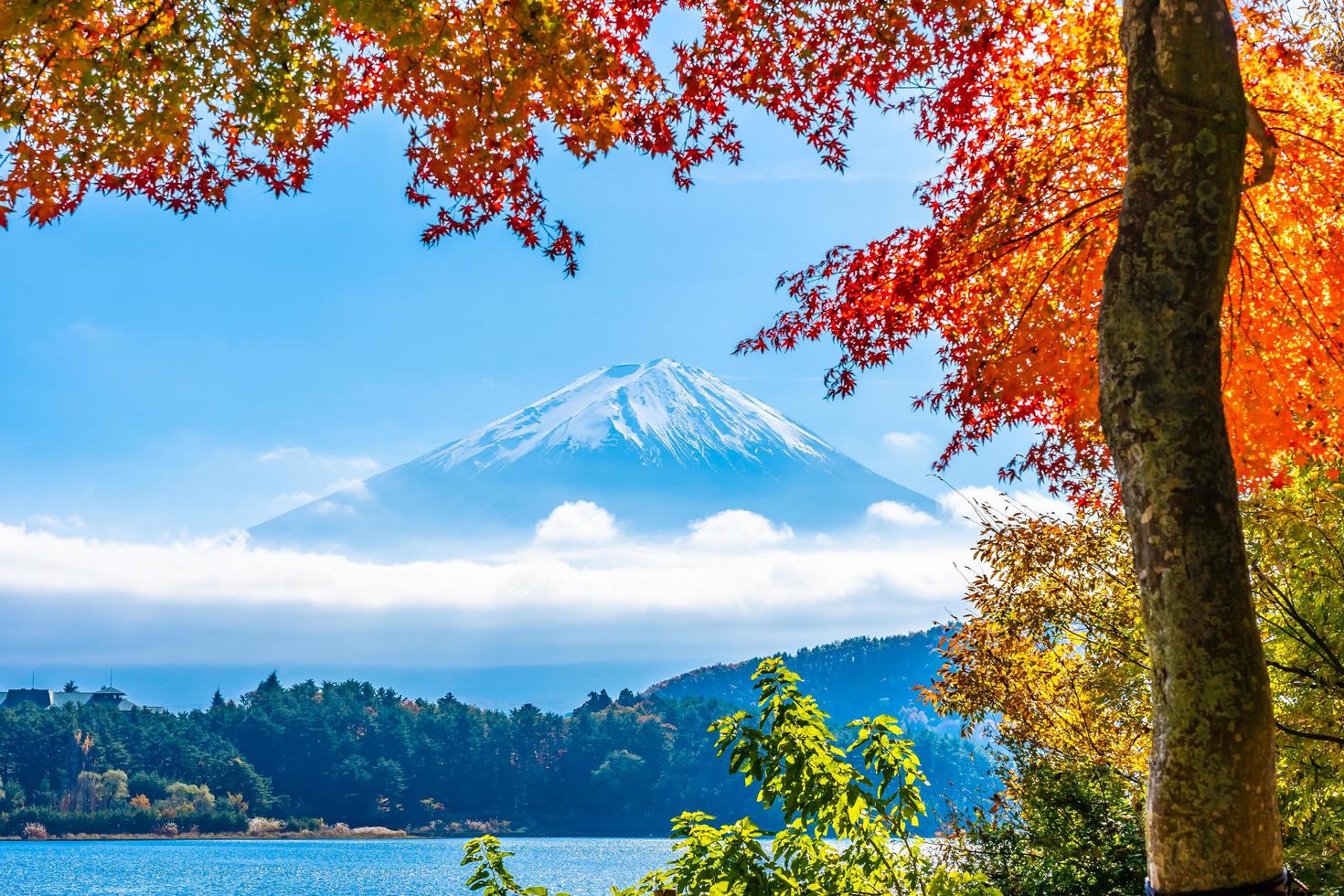 Landscape at Mt. Fuji, Yamanashi, Japan photo