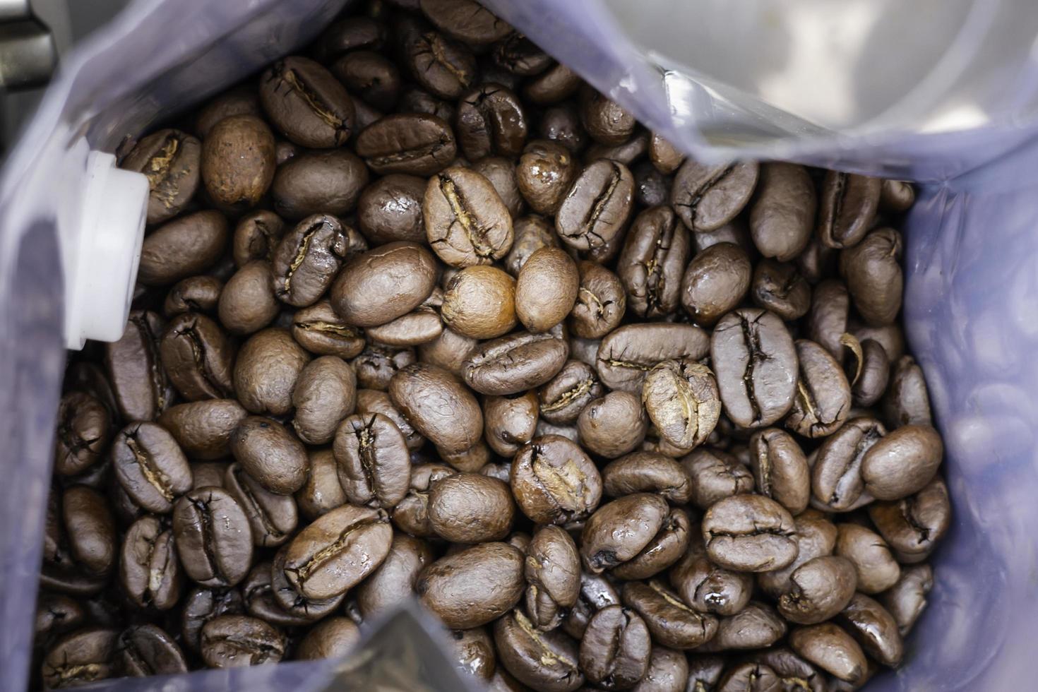 Fresh roasted coffee beans photo