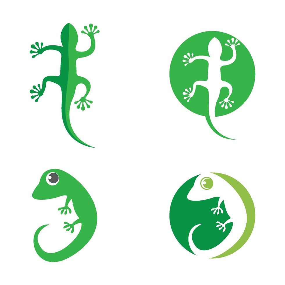 Chameleon logo images illustration vector