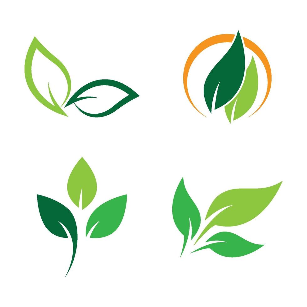 imagenes de logo de hoja vector