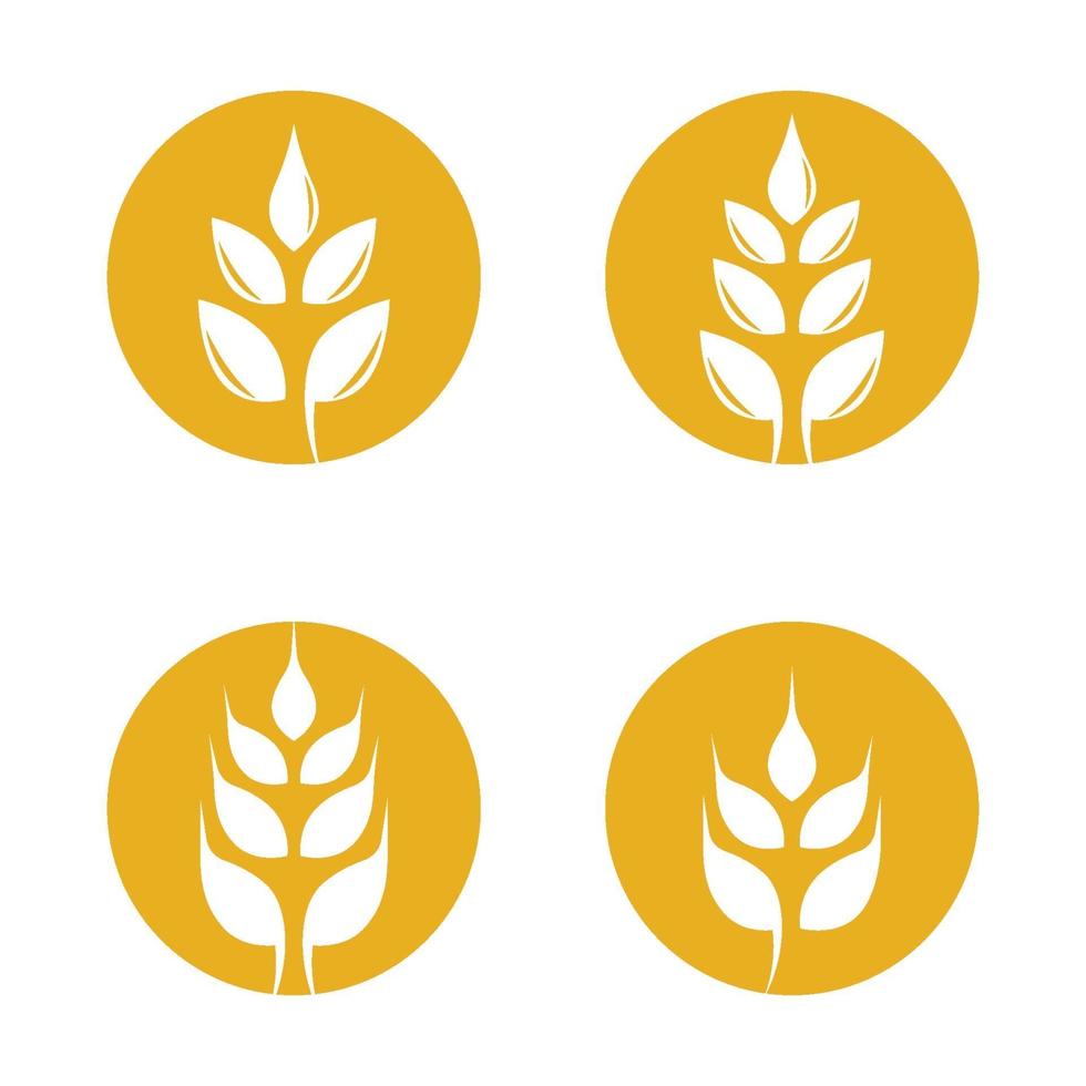 Wheat logo images vector