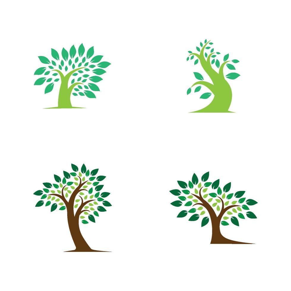 arbol logo imagenes diseño vector