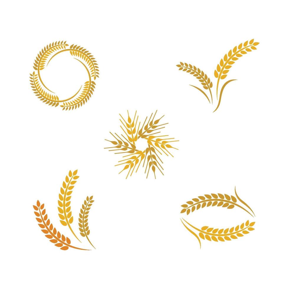 Wheat logo images vector