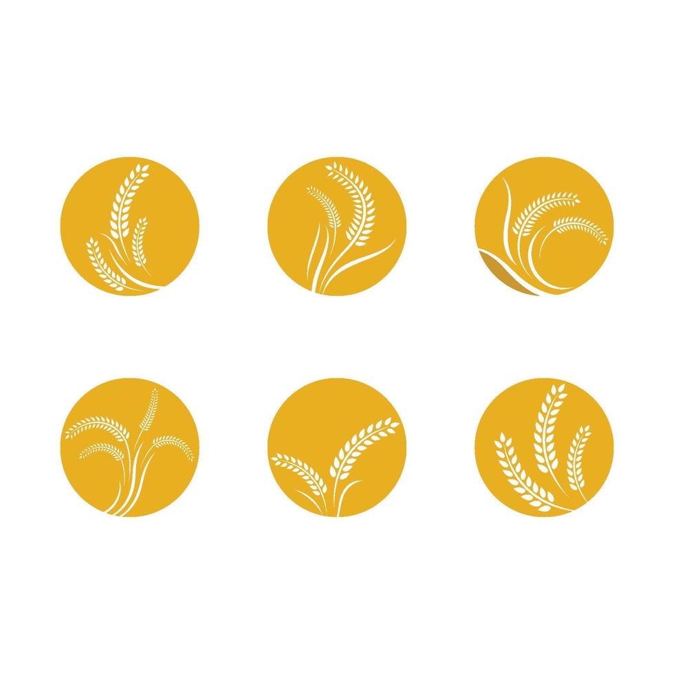 Wheat logo images vector