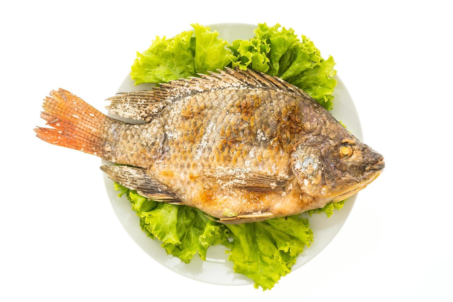 Grilled fish on white plate photo