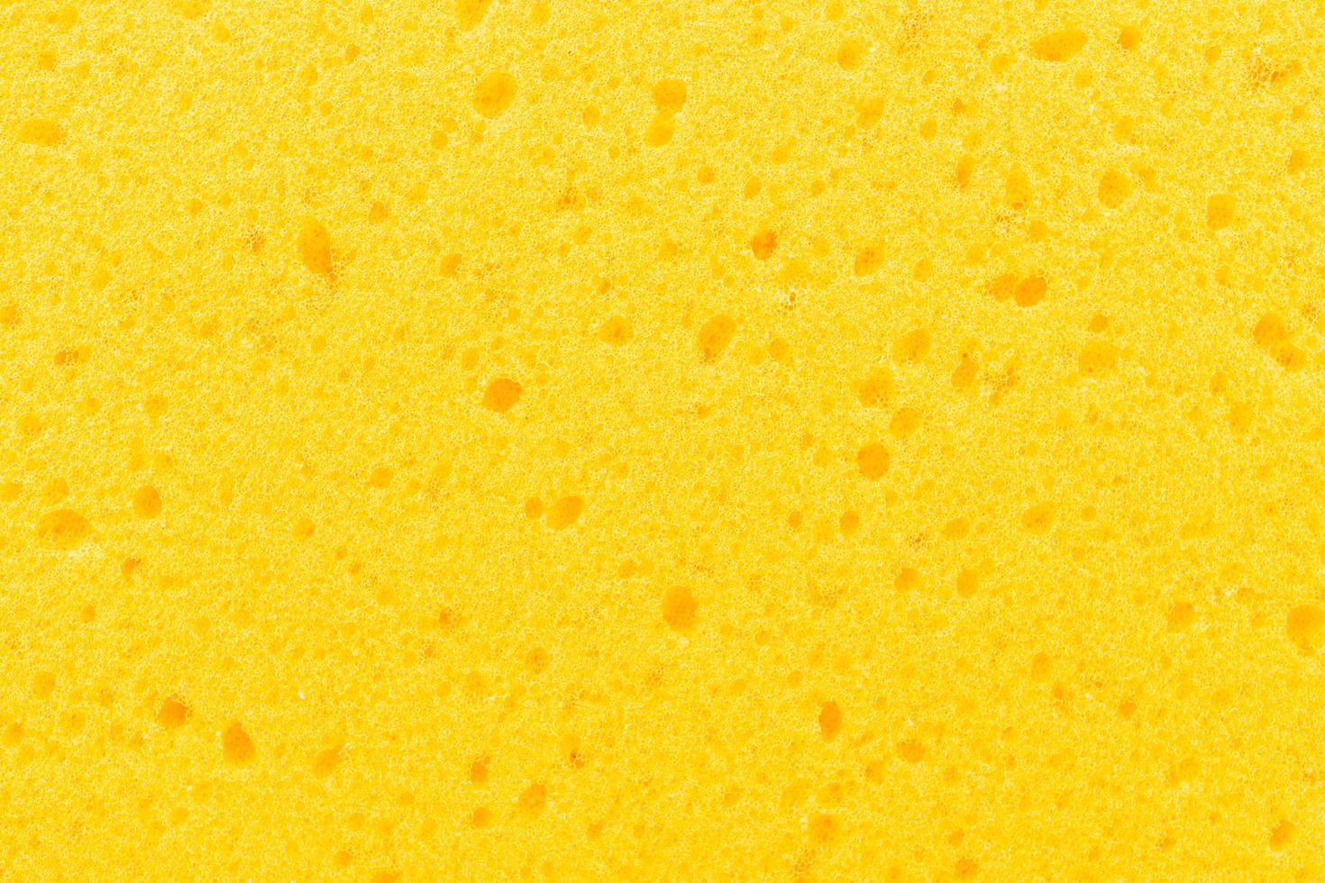 Sponge texture for background photo