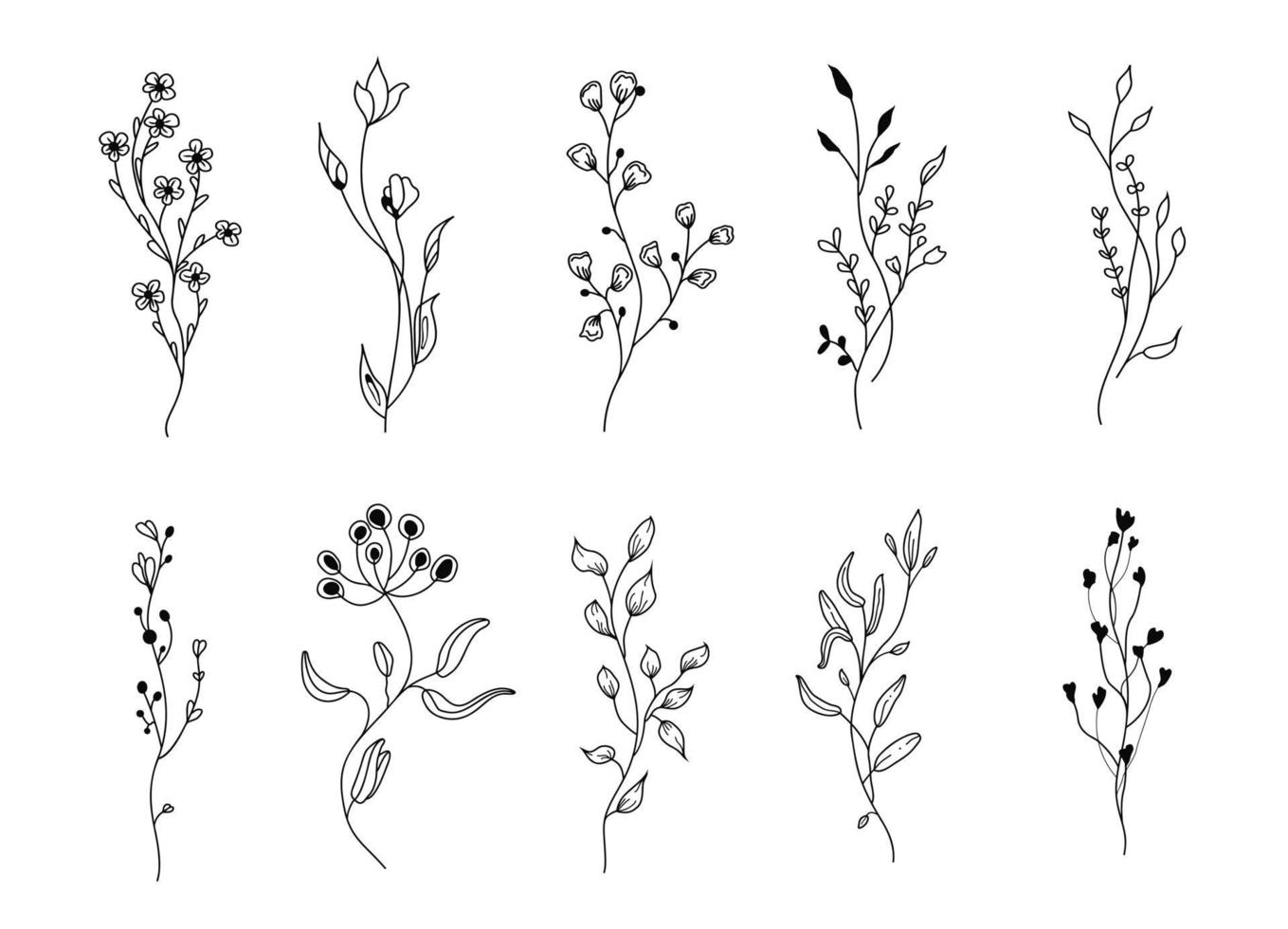 Set of wildflowers. Floral branches. vector