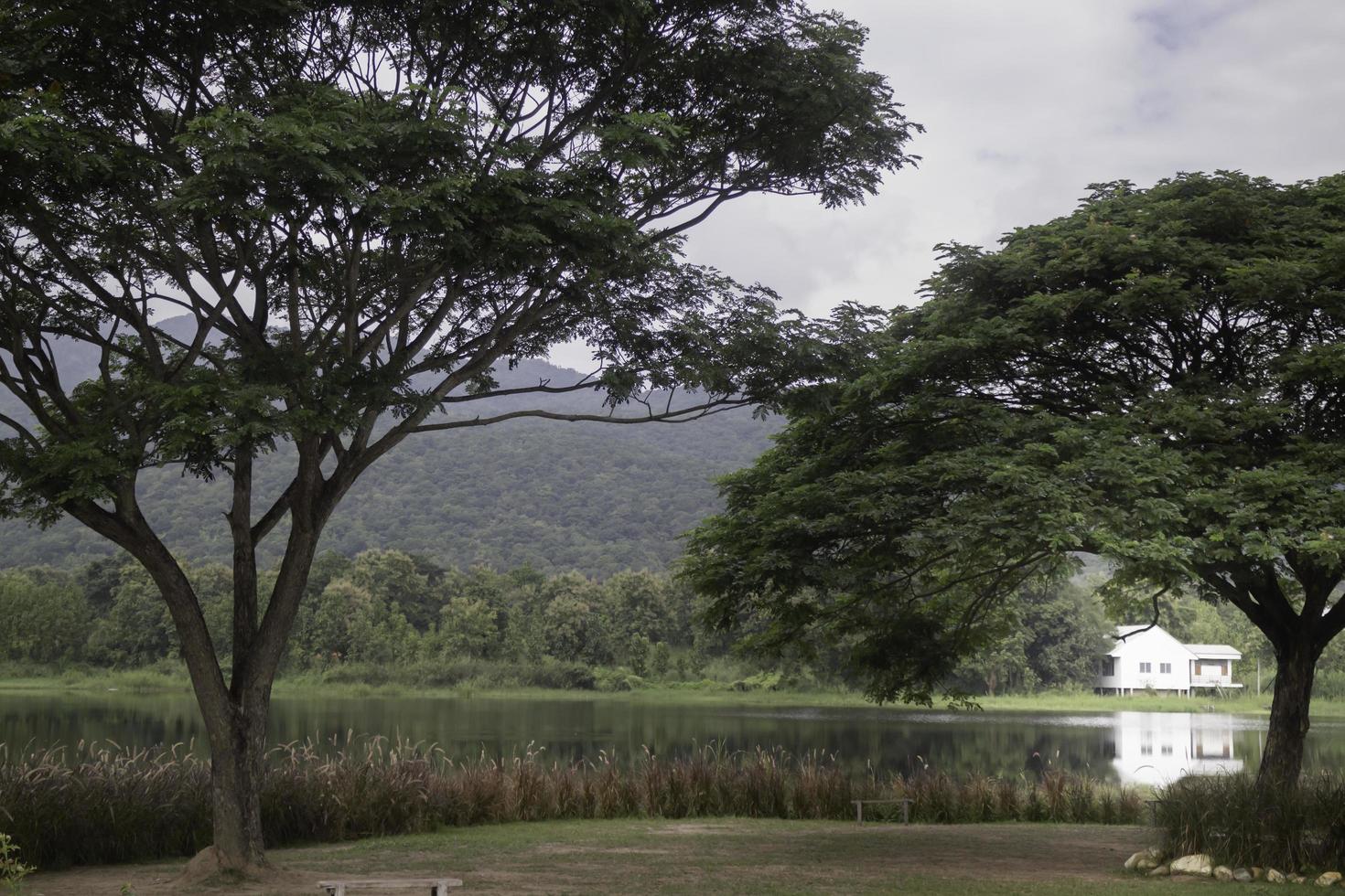 casa blanca en un lago foto