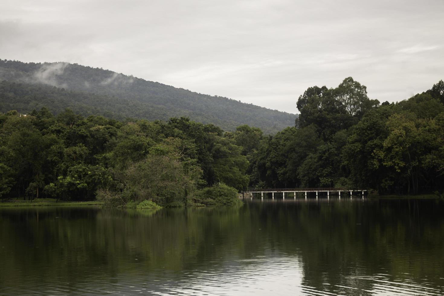 Lake view in the trees photo