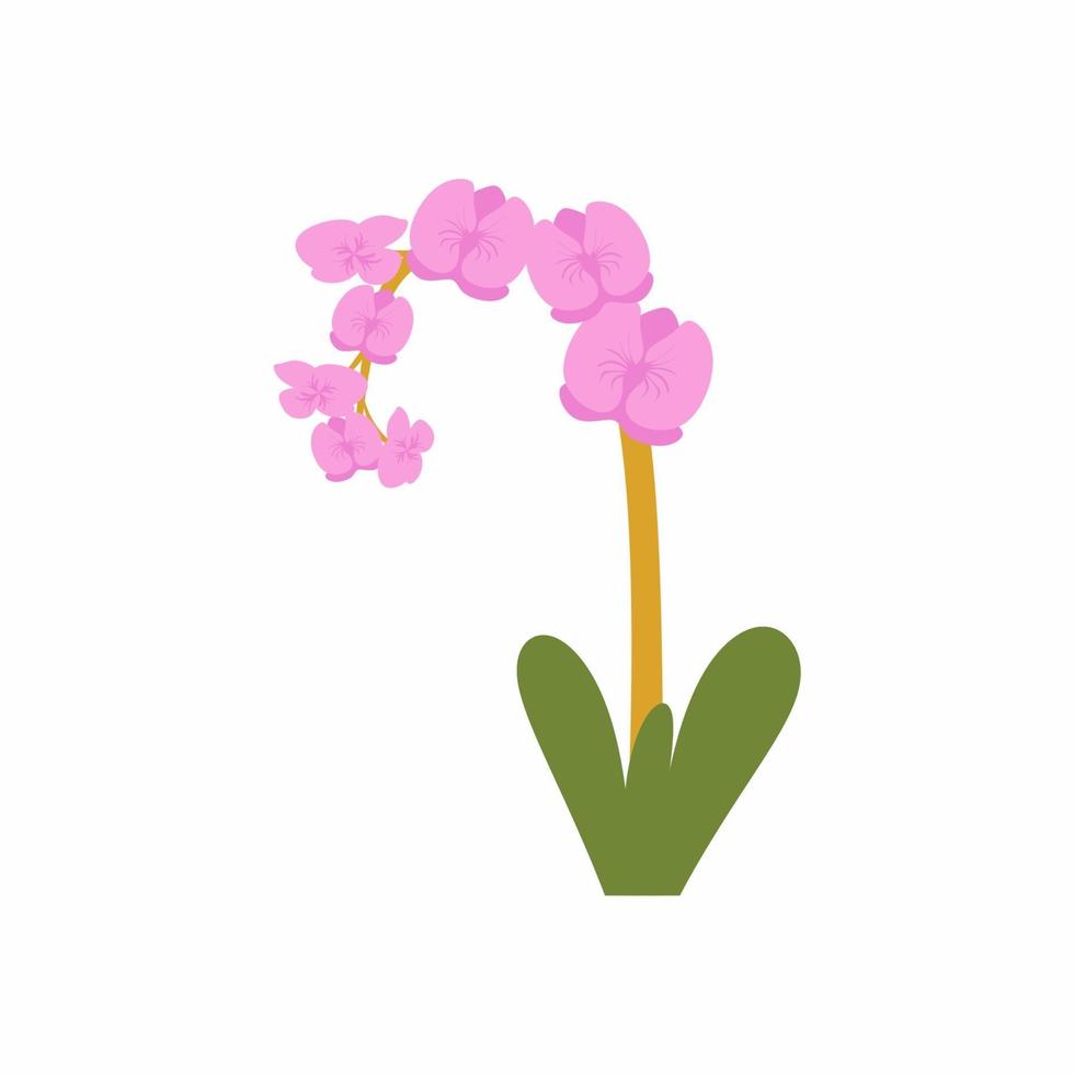 Iconos planos de flor de orquídea rosa. hermosa naturaleza floral botánico sobre fondo blanco. diseño de tarjeta de felicitación e invitación de la boda, cumpleaños, día de San Valentín, día de la madre y otras vacaciones vector