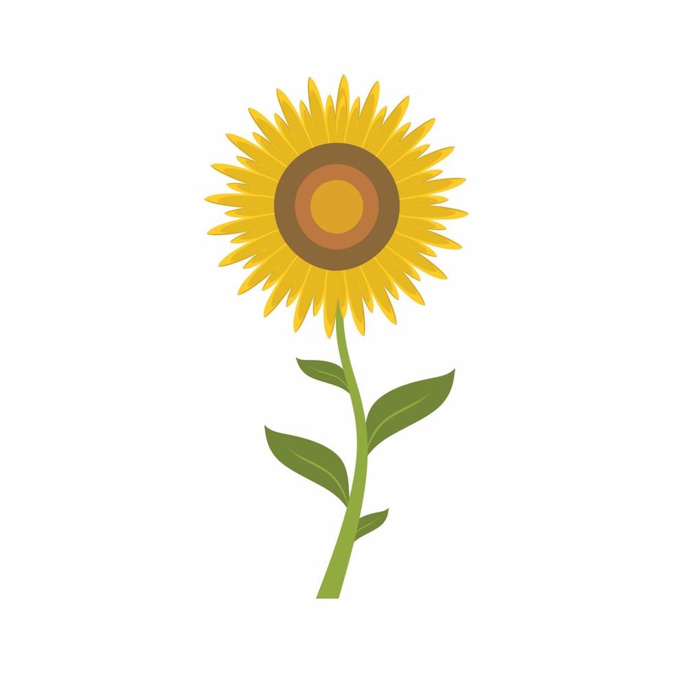 Sunflower cartoon with green leaves and stem isolated on a white background. Summer botanical agriculture flat style vector illustration for content, banner, sticker label and greeting card