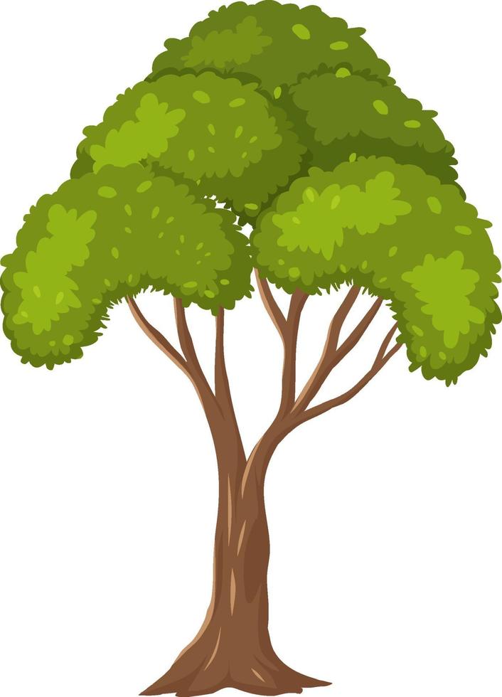 árbol aislado sobre fondo blanco vector