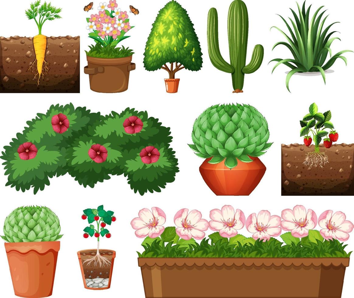 Conjunto de diferentes plantas en macetas aislado sobre fondo blanco. vector