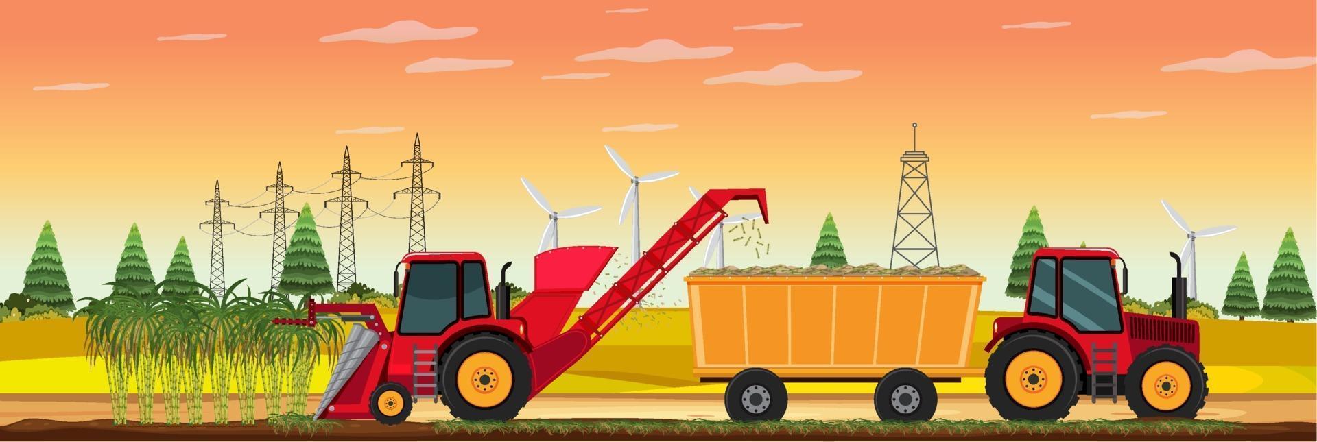 Sugar cane farming harvest at sunset time vector