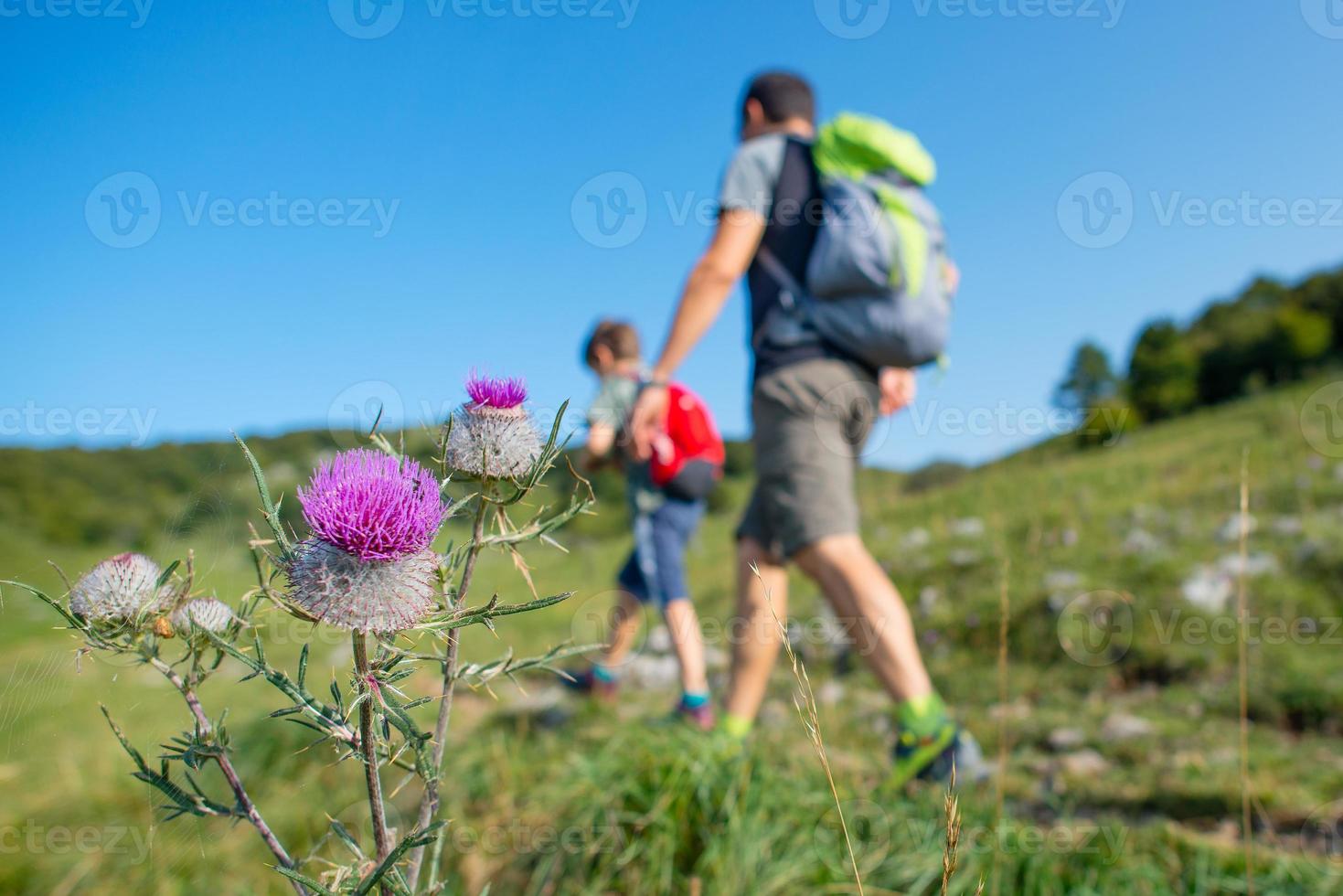 flores de montaña con la familia en una caminata foto