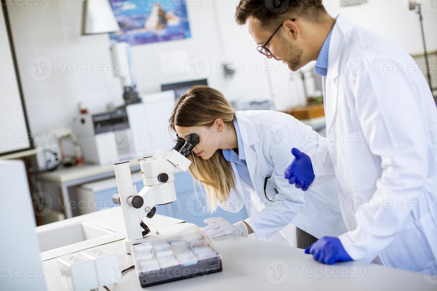 Group of young researchers analyzing chemical data in the laboratory photo