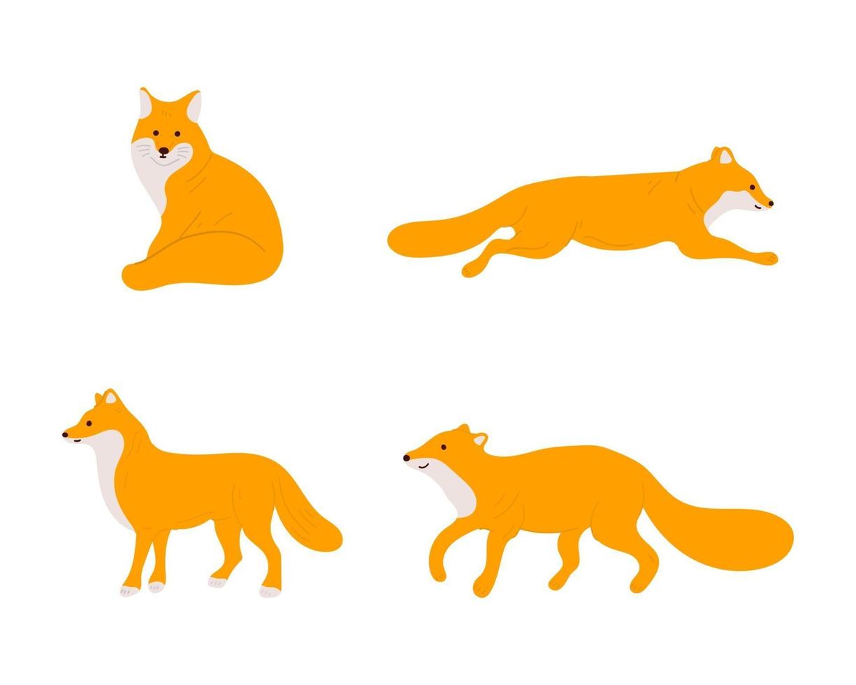 Cute cartoon fox set. Vector cartoon fox collection. Flat vector illustration.