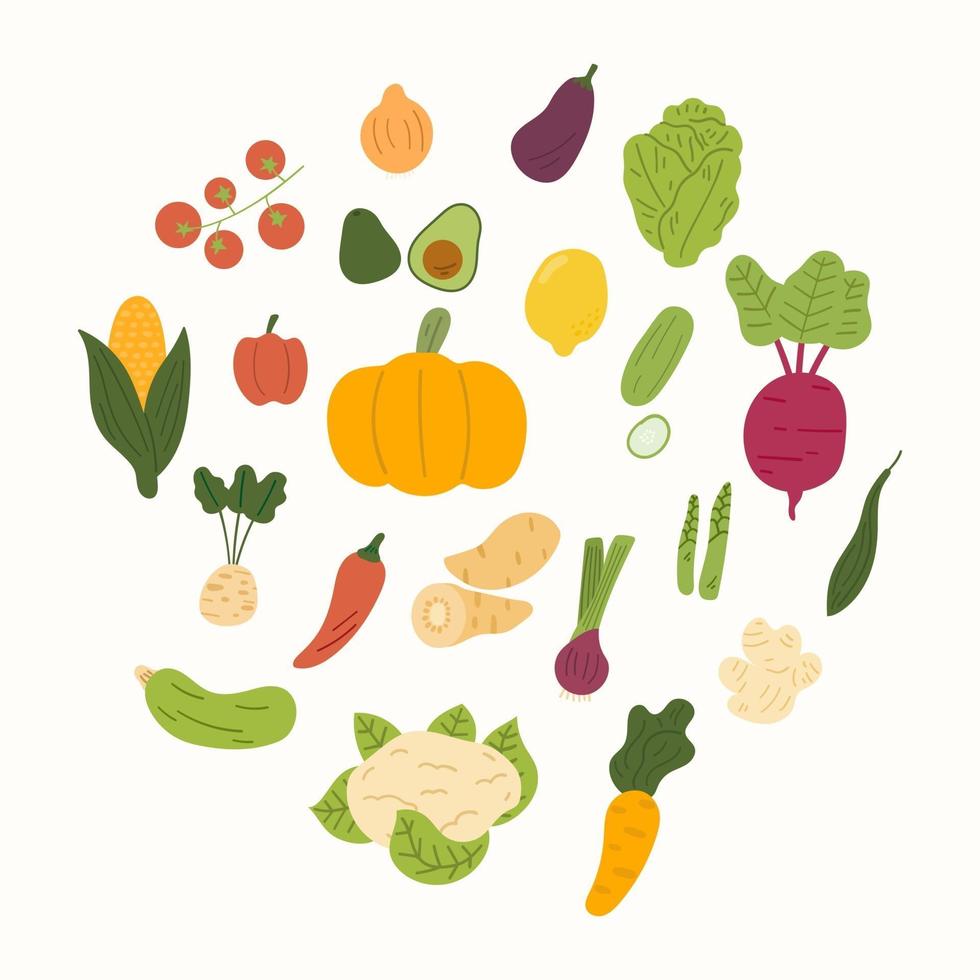 Vector cartoon collection of vegetable hand drawn. Flat cartoon vector isolated on white background.