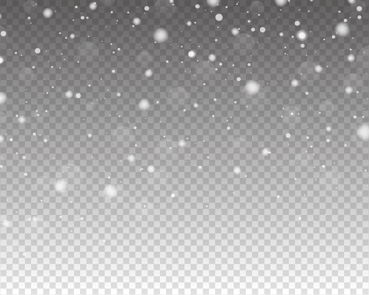 Realistic falling snow. Snow overlay effect. Falling snow isolated vector