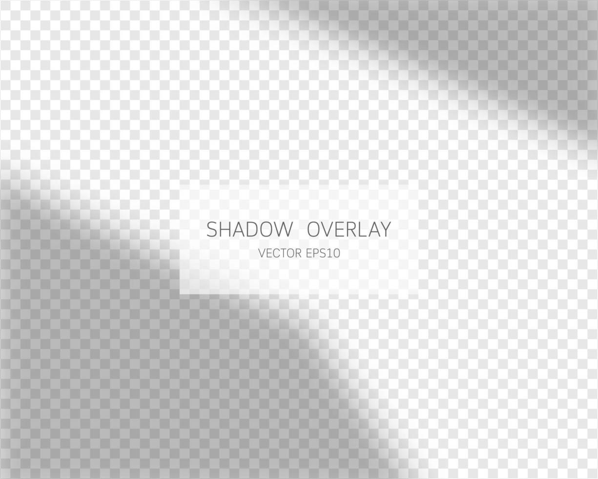 Shadow overlay effect. Natural shadows from window vector