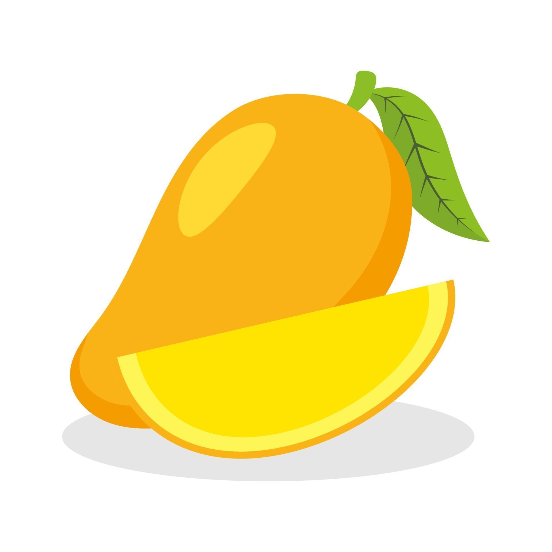 Mango Fruit Vector 2125329 Vector Art At Vecteezy