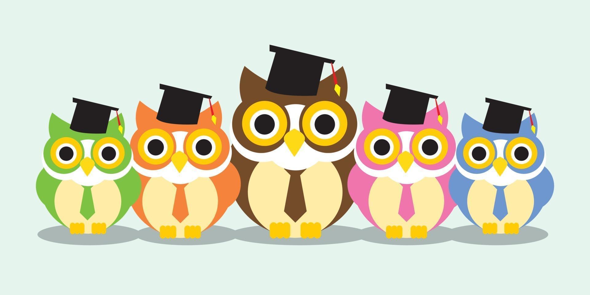 Group of Owl Graduation vector