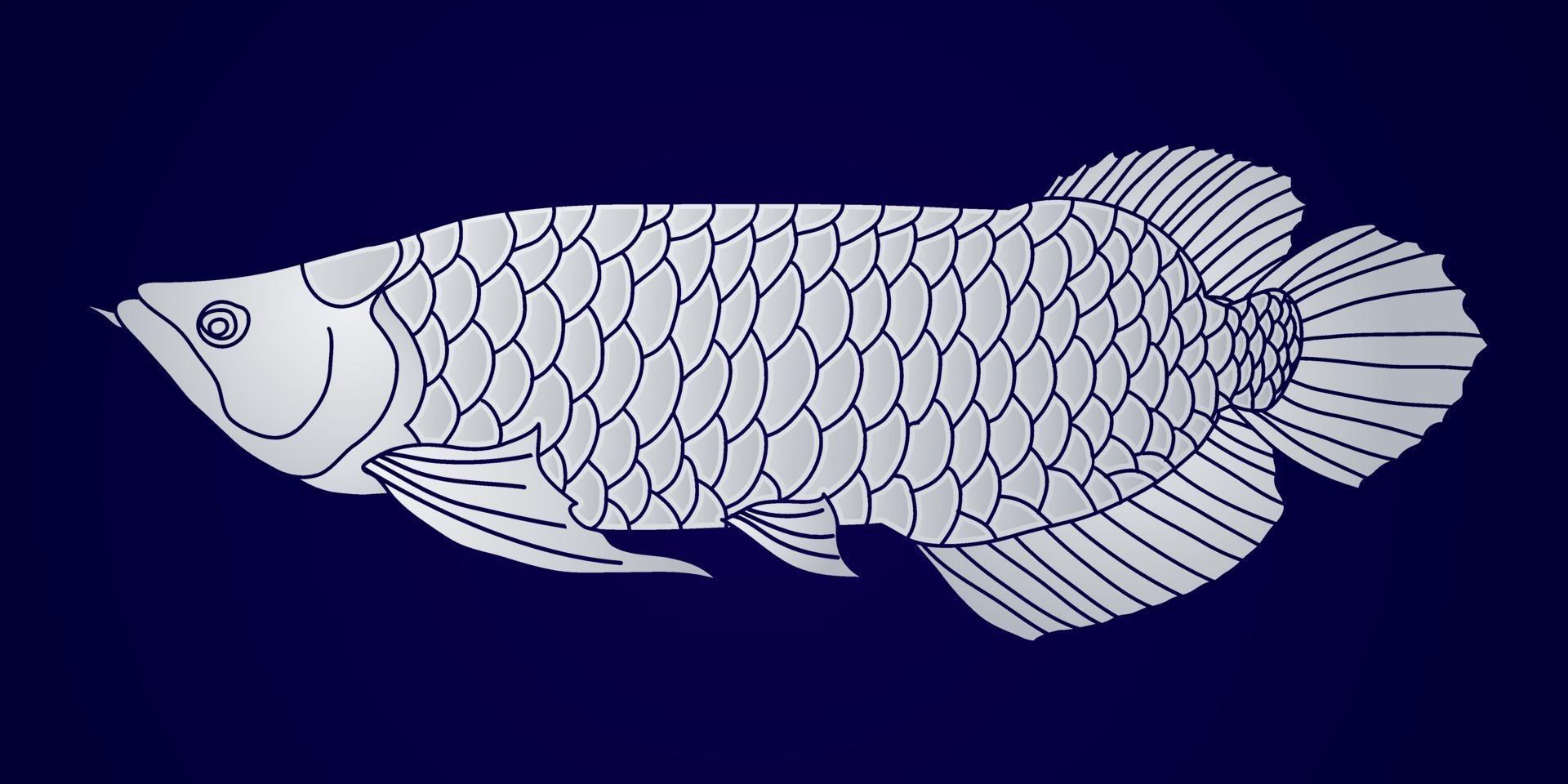 Silver Arowana Fish vector