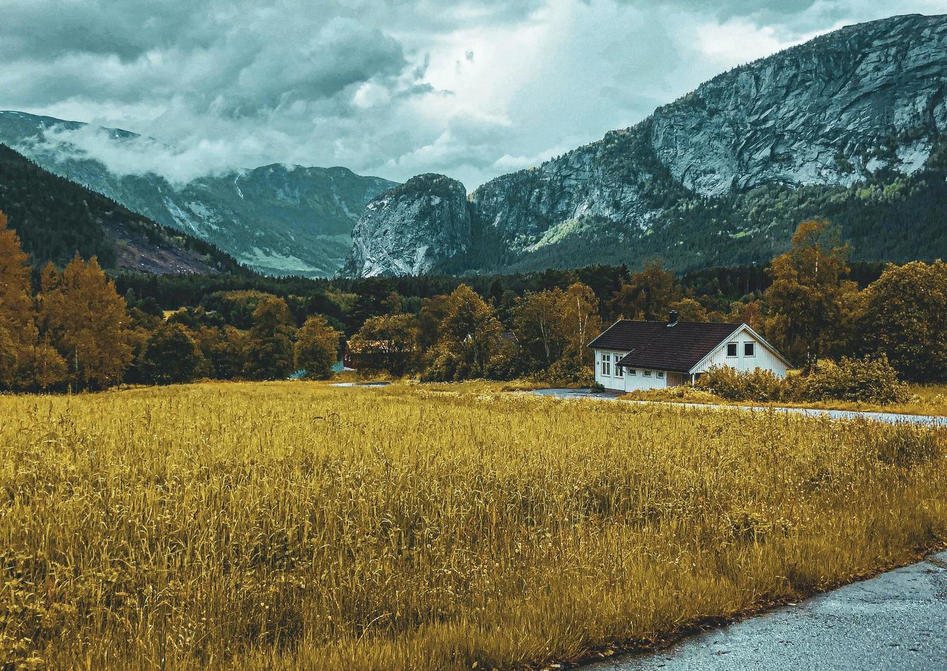 Beautiful Norwegian meadow with mountain background photo