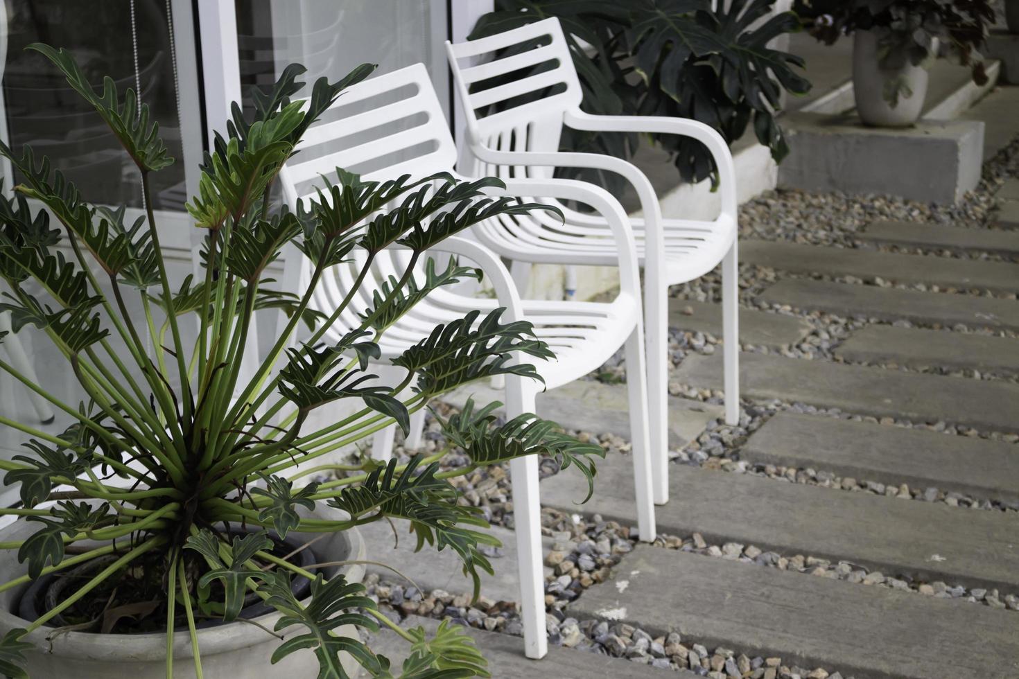 Two white chairs in a garden photo