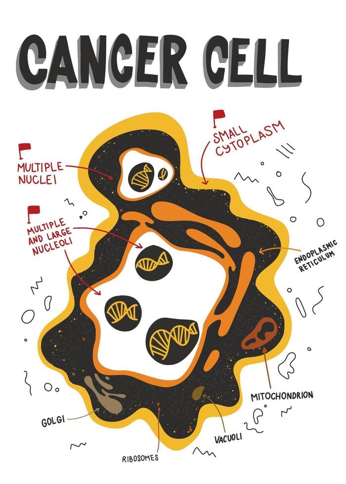 anatomía de la célula cancerosa vector