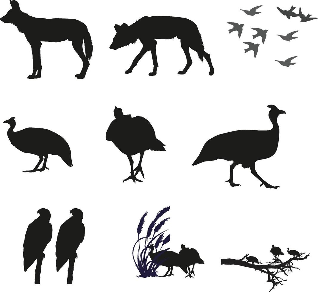conjunto, de, animales, y, aves, sillhouette, vector, iconos vector