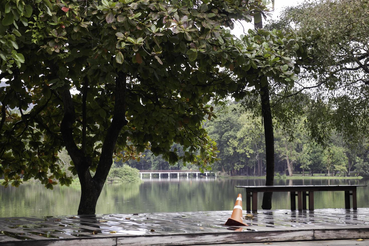 Dock near a lake photo