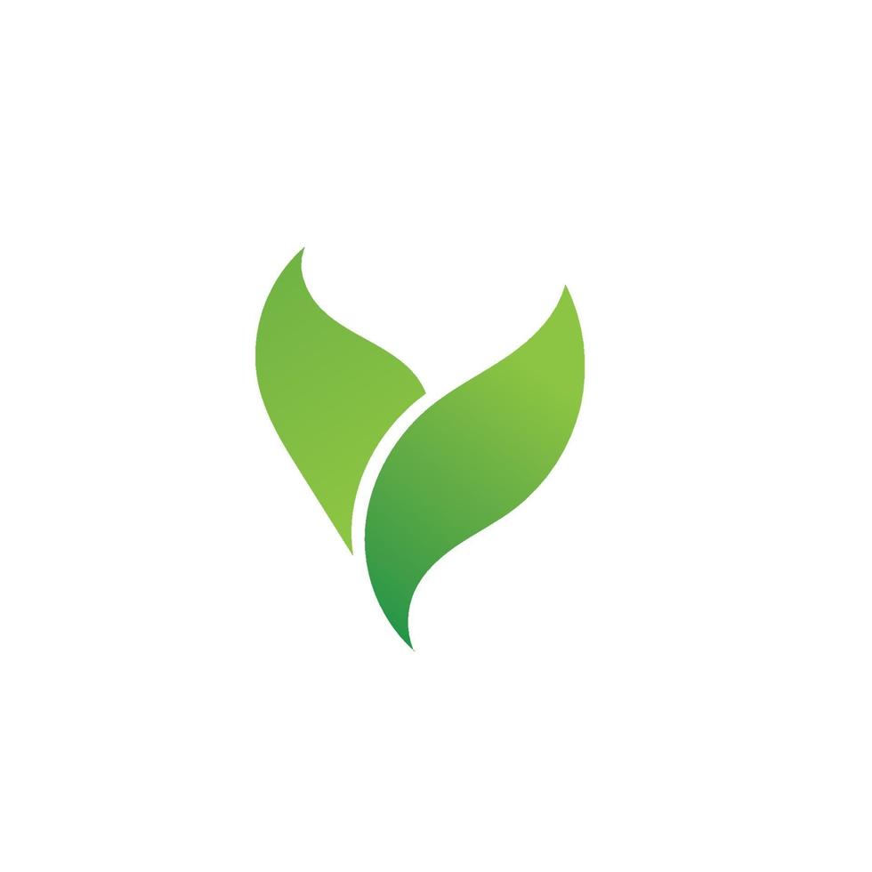 logotipos de la ecología de la hoja del árbol verde vector