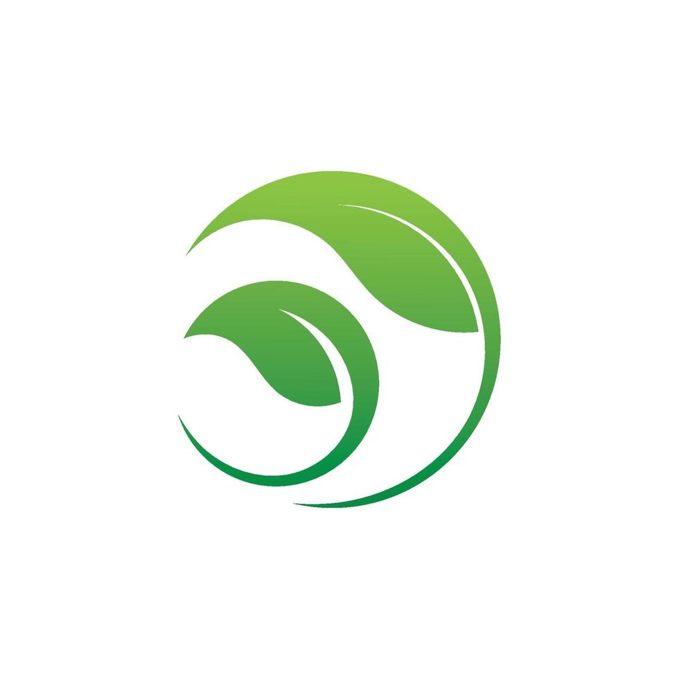 logotipos de la ecología de la hoja del árbol verde vector