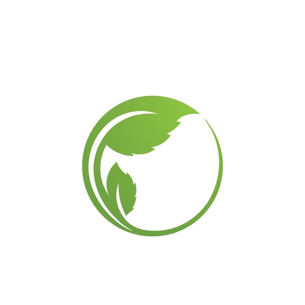 logotipos de la ecología de la hoja del árbol verde vector