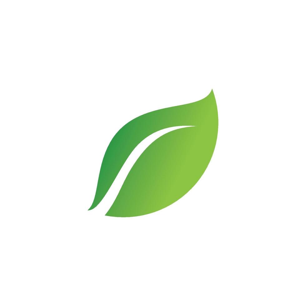 logotipos de la ecología de la hoja del árbol verde vector