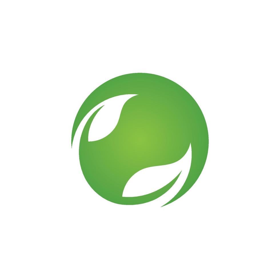 logotipos de la ecología de la hoja del árbol verde vector