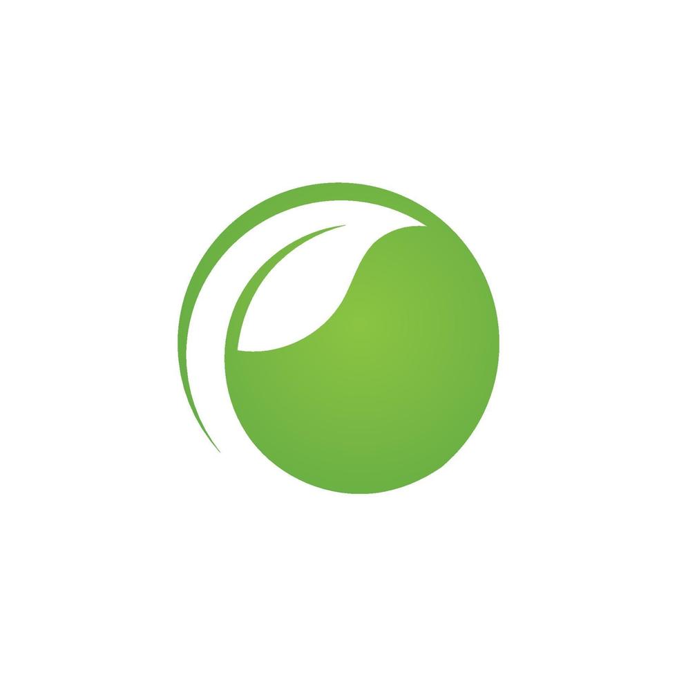 logotipos de la ecología de la hoja del árbol verde vector